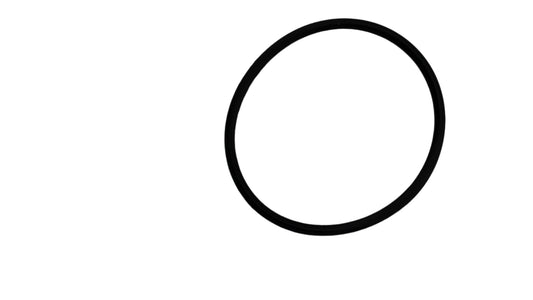 T25/T50 Pump Sealing Ring