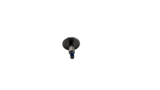 Screw M30-HC01350050-140020-5103-Y