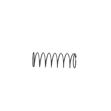 Anti-Leak Valve Spring