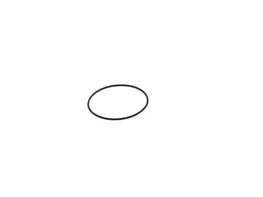 Motor Sealing Ring